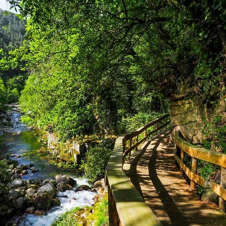 Chale Dos Penedos, Sossego E Piscina Privada Villa Monção Buitenkant foto